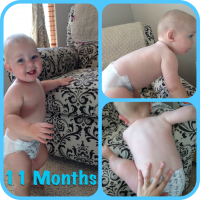 11 Months